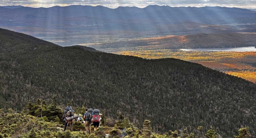 Amidst a vast mountainous landscape covered in trees, a small group of people hike through greenery. 